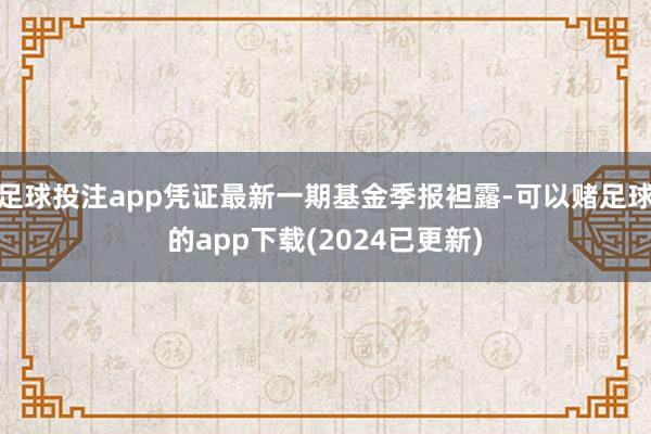 足球投注app凭证最新一期基金季报袒露-可以赌足球的app下载(2024已更新)