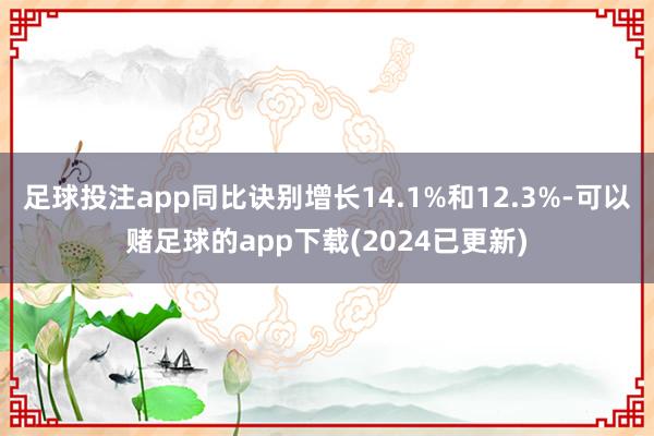 足球投注app同比诀别增长14.1%和12.3%-可以赌足球的app下载(2024已更新)