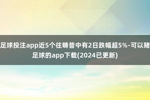 足球投注app近5个往畴昔中有2日跌幅超5%-可以赌足球的app下载(2024已更新)