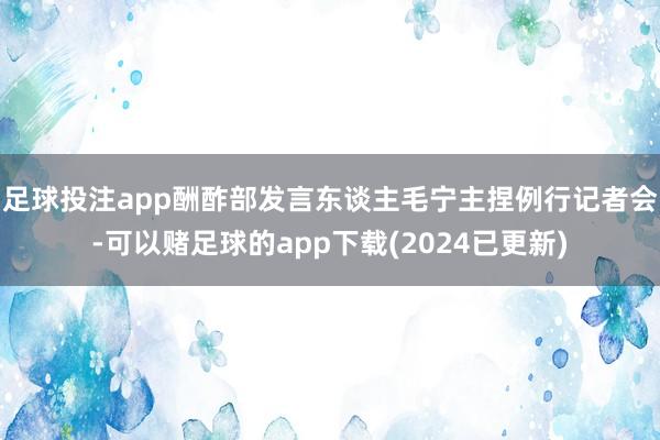 足球投注app酬酢部发言东谈主毛宁主捏例行记者会-可以赌足球的app下载(2024已更新)