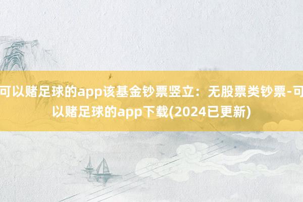 可以赌足球的app该基金钞票竖立：无股票类钞票-可以赌足球的app下载(2024已更新)