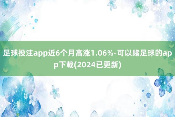 足球投注app近6个月高涨1.06%-可以赌足球的app下载(2024已更新)