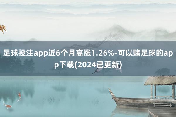 足球投注app近6个月高涨1.26%-可以赌足球的app下载(2024已更新)