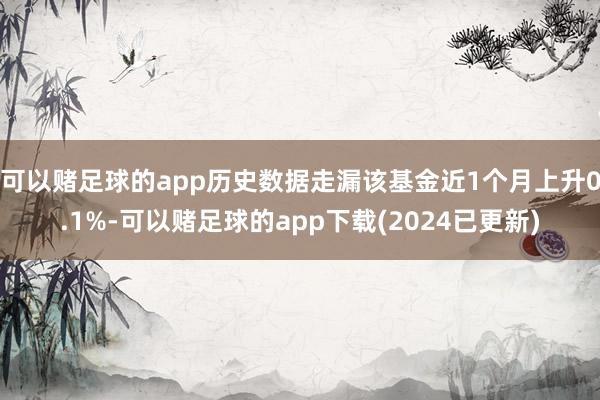 可以赌足球的app历史数据走漏该基金近1个月上升0.1%-可以赌足球的app下载(2024已更新)