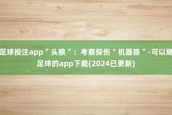 足球投注app＂头狼＂：考察探伤＂机器狼＂-可以赌足球的app下载(2024已更新)