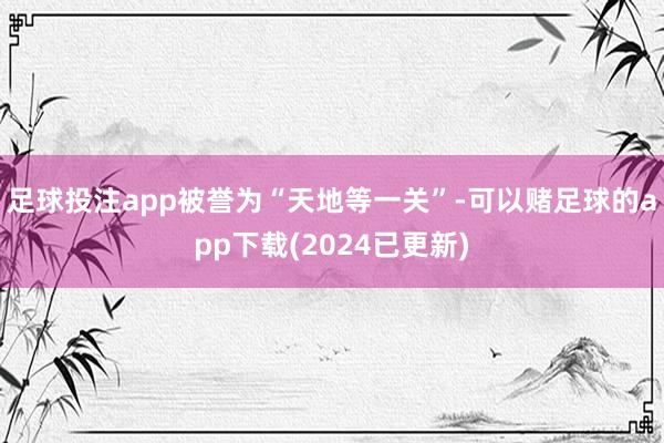 足球投注app被誉为“天地等一关”-可以赌足球的app下载(2024已更新)