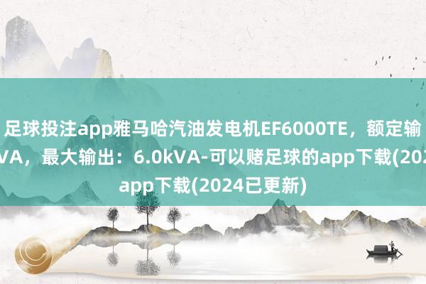 足球投注app雅马哈汽油发电机EF6000TE，额定输出：5.0kVA，最大输出：6.0kVA-可以赌足球的app下载(2024已更新)