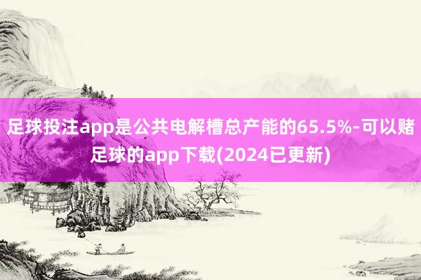 足球投注app是公共电解槽总产能的65.5%-可以赌足球的app下载(2024已更新)