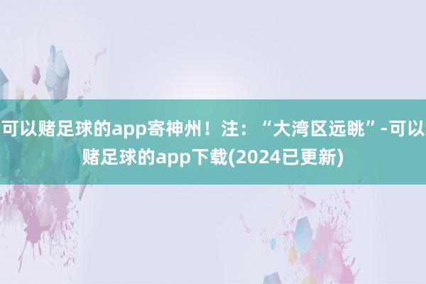 可以赌足球的app寄神州！注：“大湾区远眺”-可以赌足球的app下载(2024已更新)