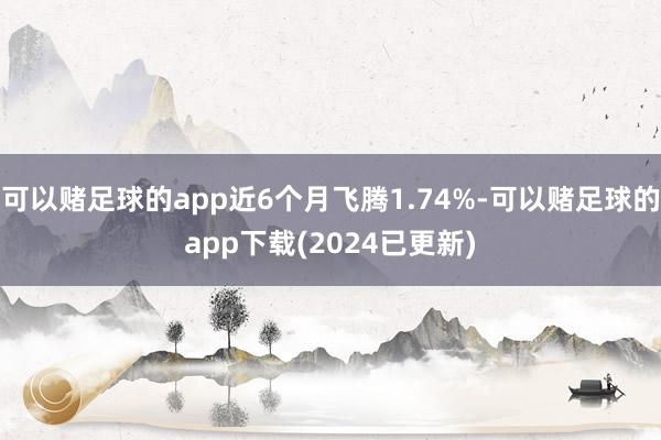 可以赌足球的app近6个月飞腾1.74%-可以赌足球的app下载(2024已更新)