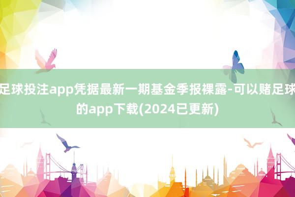 足球投注app凭据最新一期基金季报裸露-可以赌足球的app下载(2024已更新)