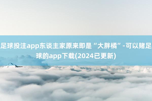 足球投注app东谈主家原来即是“大胖橘”-可以赌足球的app下载(2024已更新)