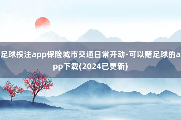 足球投注app保险城市交通日常开动-可以赌足球的app下载(2024已更新)