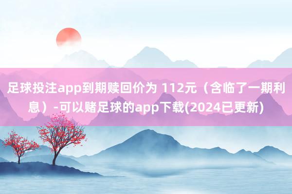 足球投注app到期赎回价为 112元（含临了一期利息）-可以赌足球的app下载(2024已更新)